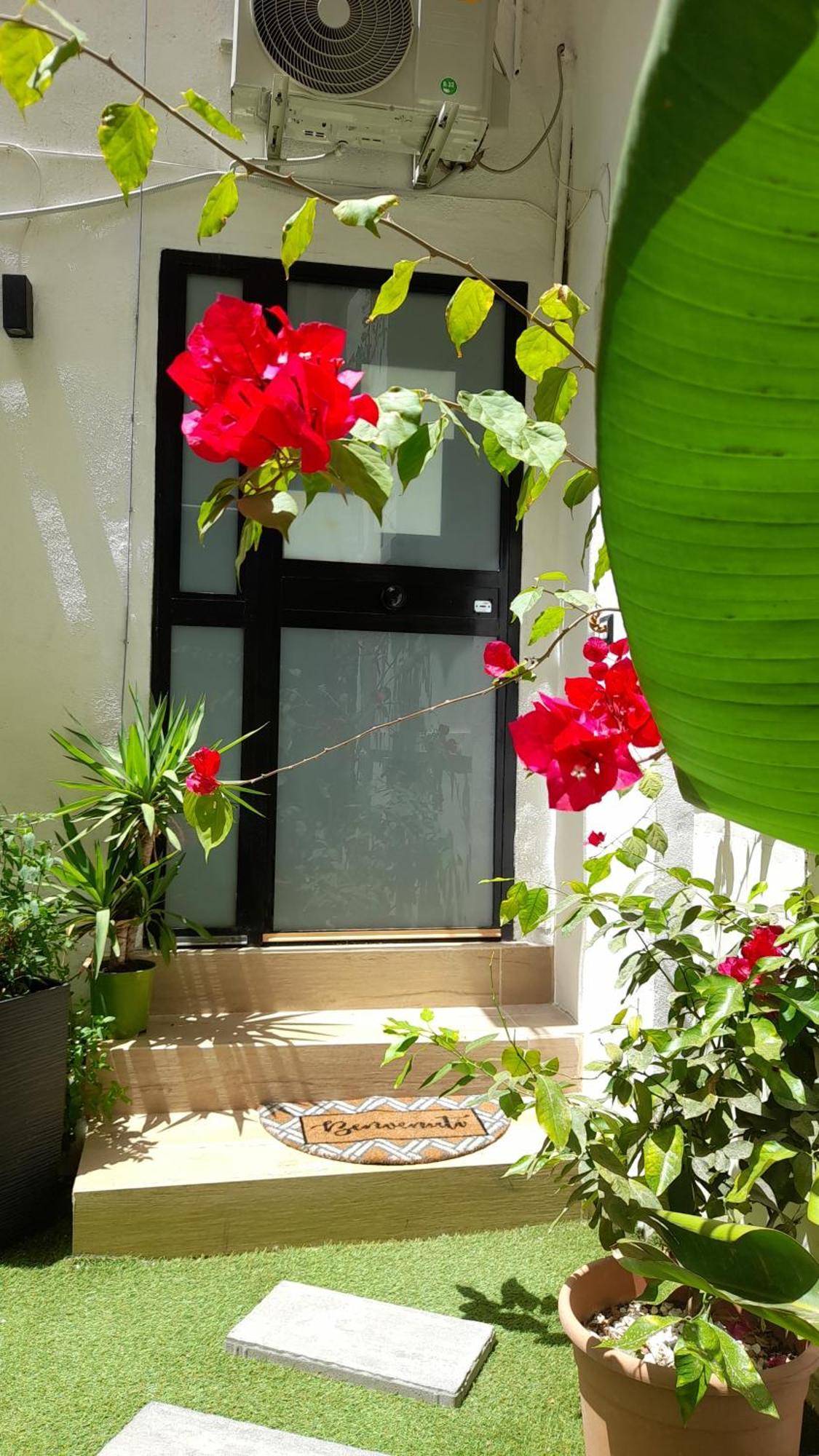 Garden Suite Apartment Παλέρμο Εξωτερικό φωτογραφία